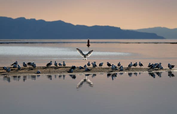 Great Salt Lake might be fully dried up In five years