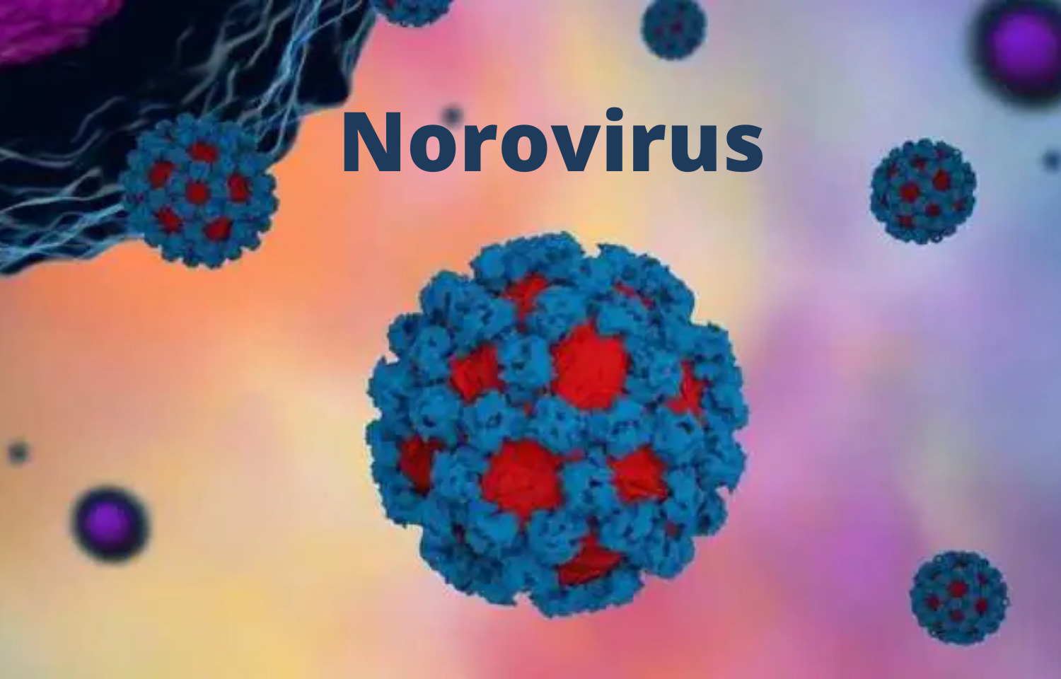There are more cases of norovirus on cruises. Know what visitors should be aware of