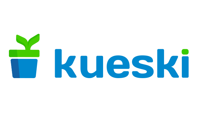 Kueski: Empowering Financial Access with Online Microloans