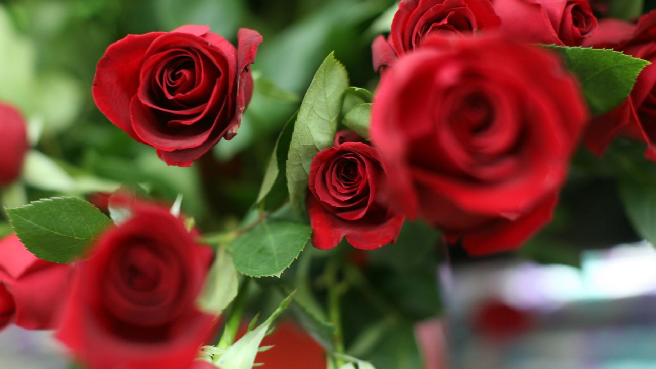 Don’t forget to pause and smell the roses, it may improve your memory, according to a recent study