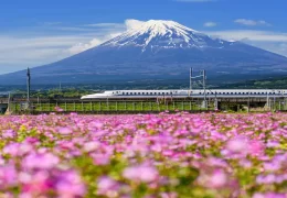 Japan’s exports soar in January, driven by US auto sales