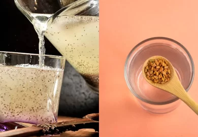 Top 5 Seed Waters for Fast Weight Loss