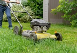 Britons urged to stop mowing to help butterflies thrive.